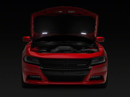 Raxiom Axial Series LED Underhood Lighting Kit (Universal; Some Adaptation May Be Required)