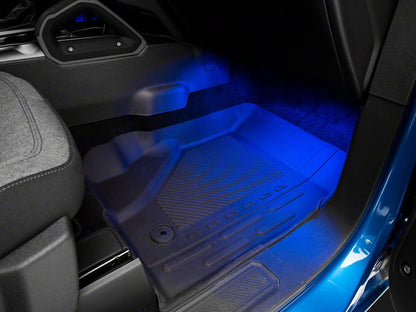 Raxiom Axial Series LED Interior Courtesy Lighting