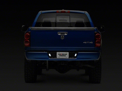 Raxiom Axial Series LED License Plate Lamps (03-18 RAM 1500)