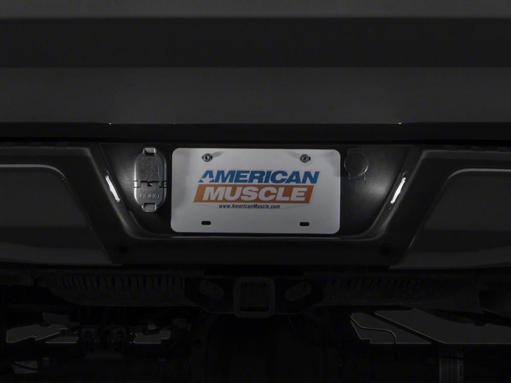 Raxiom Axial Series LED License Plate Light Bulbs (04-14 F-150)