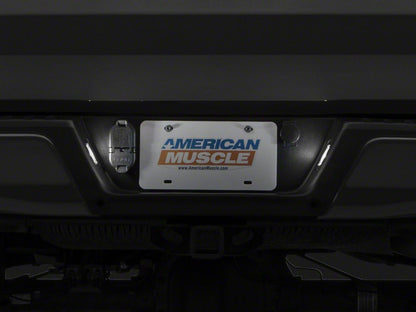 Raxiom Axial Series LED License Plate Light Bulbs (04-14 F-150)