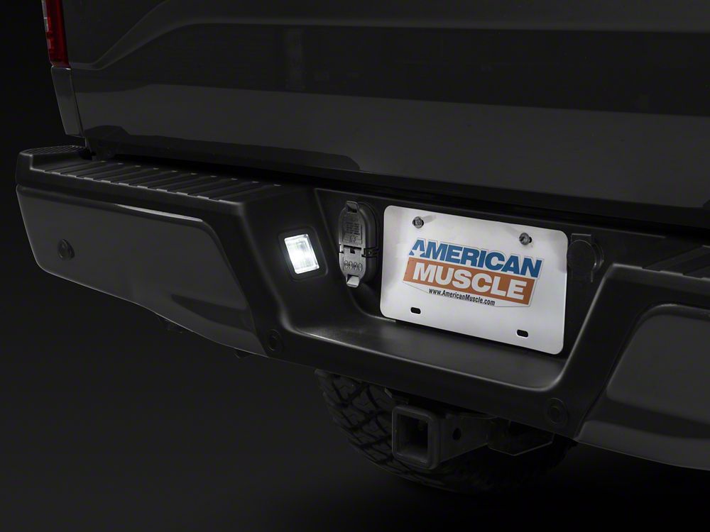 Raxiom Axial Series LED License Plate Light Bulbs (04-14 F-150)