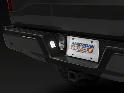 Raxiom Axial Series LED License Plate Light Bulbs (04-14 F-150)
