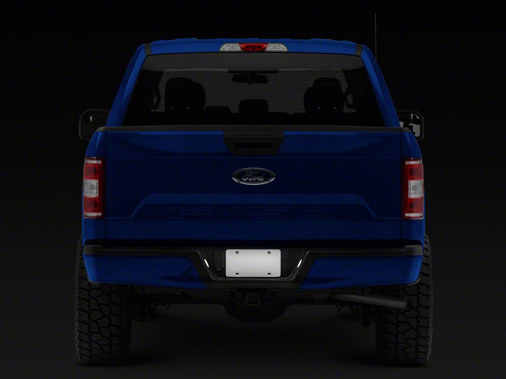 Raxiom Axial Series LED License Plate Lamps (15-25 F-150)