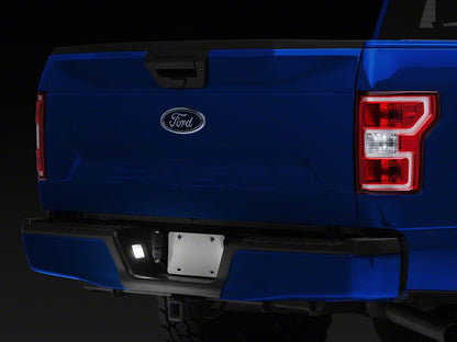 Raxiom Axial Series LED License Plate Lamps (15-25 F-150)