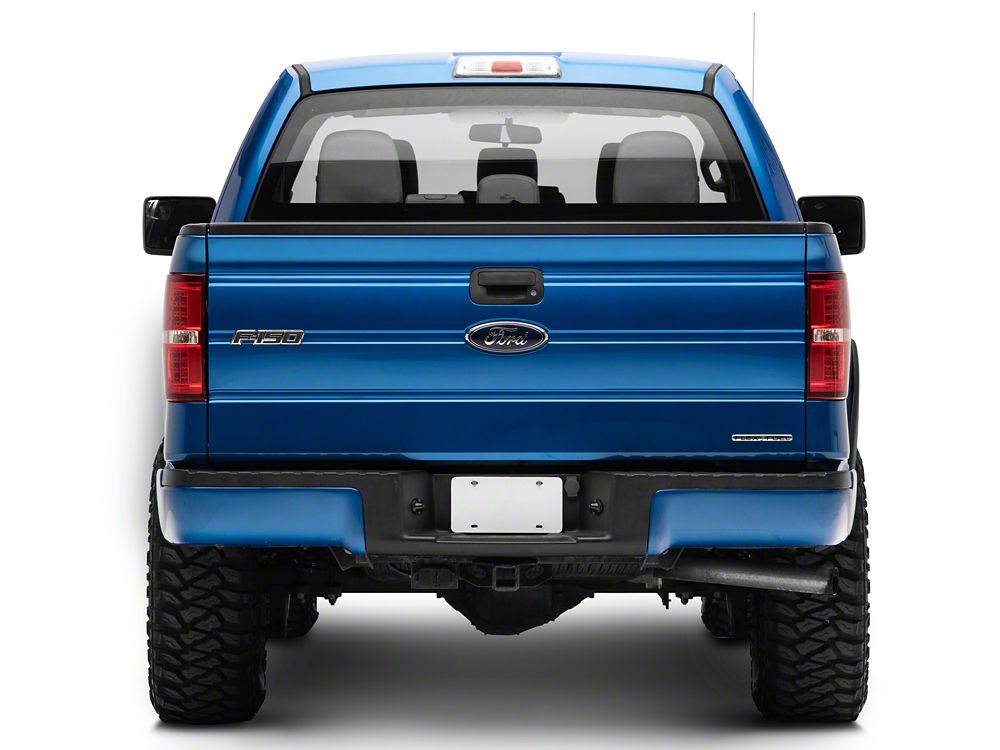 Raxiom LED Tail Lights; Chrome Housing; Red/Clear Lens (09-14 F-150 Styleside)
