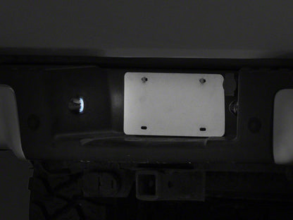 Raxiom Axial Series LED License Plate Light Bulb (01-14 F-150)