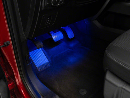 Raxiom Axial Series LED Interior Courtesy Lighting