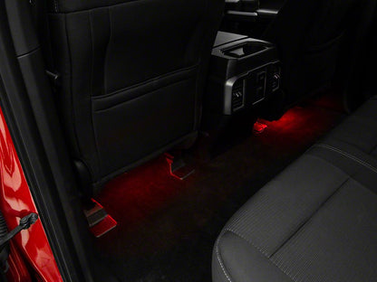 Raxiom Axial Series LED Interior Courtesy Lighting