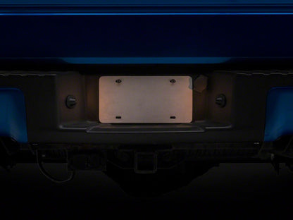 Raxiom Axial Series License Plate Lamp Housings (97-14 F-150)