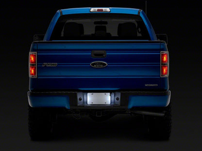 Raxiom Axial Series LED License Plate Lamps (97-14 F-150)