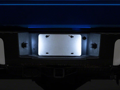 Raxiom LED License Plate Lighting; White (04-14 F-150)