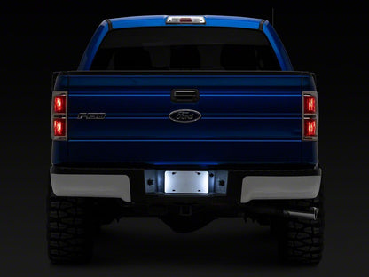 Raxiom LED License Plate Lighting; White (04-14 F-150)